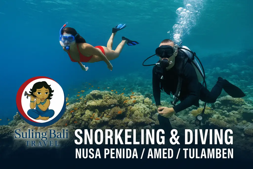 Snorkeling & Diving di Nusa Penida / Amed / Tulamben
